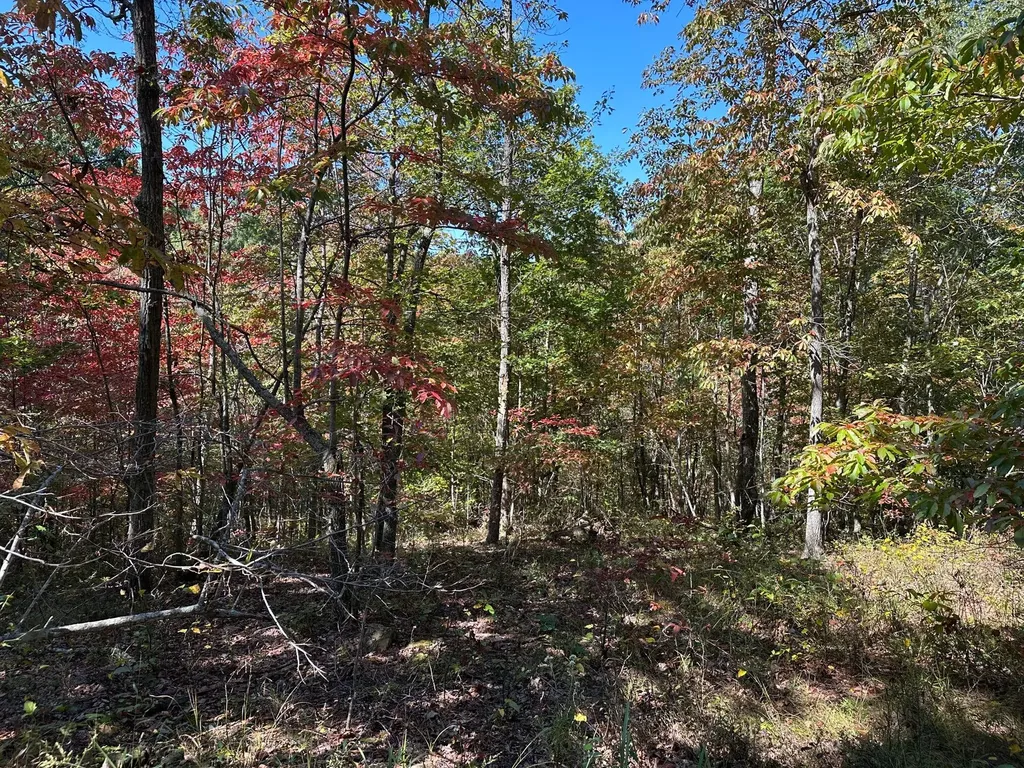 18A Hall Road Grayson KY 41143