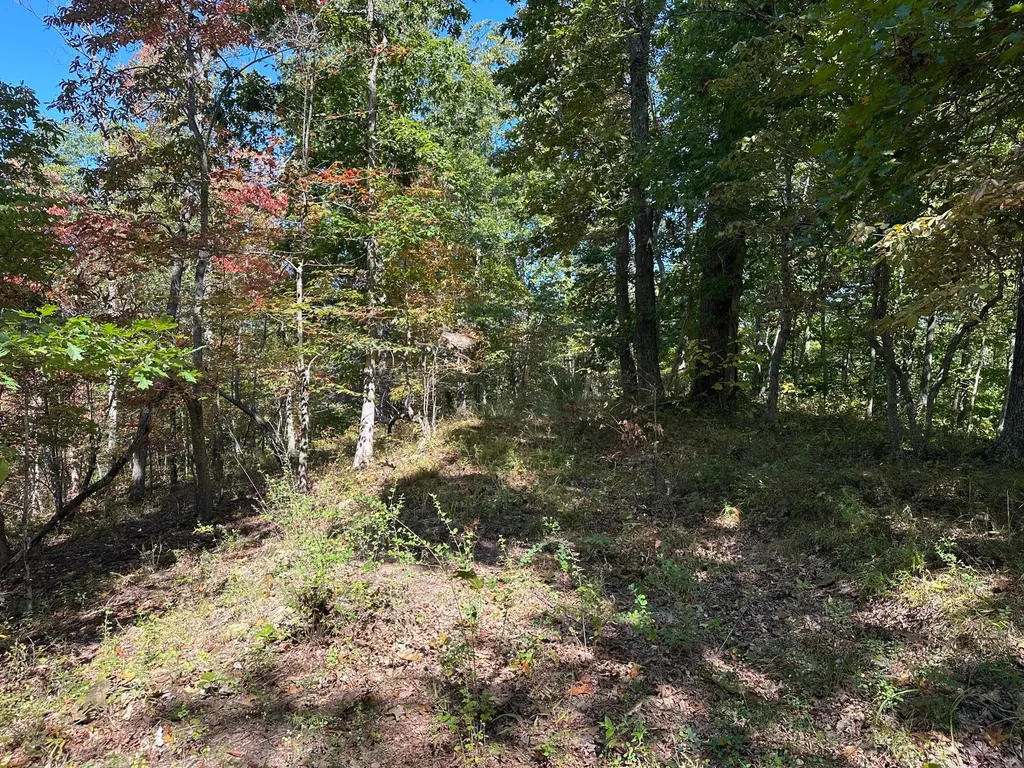 18A Hall Road Grayson KY 41143