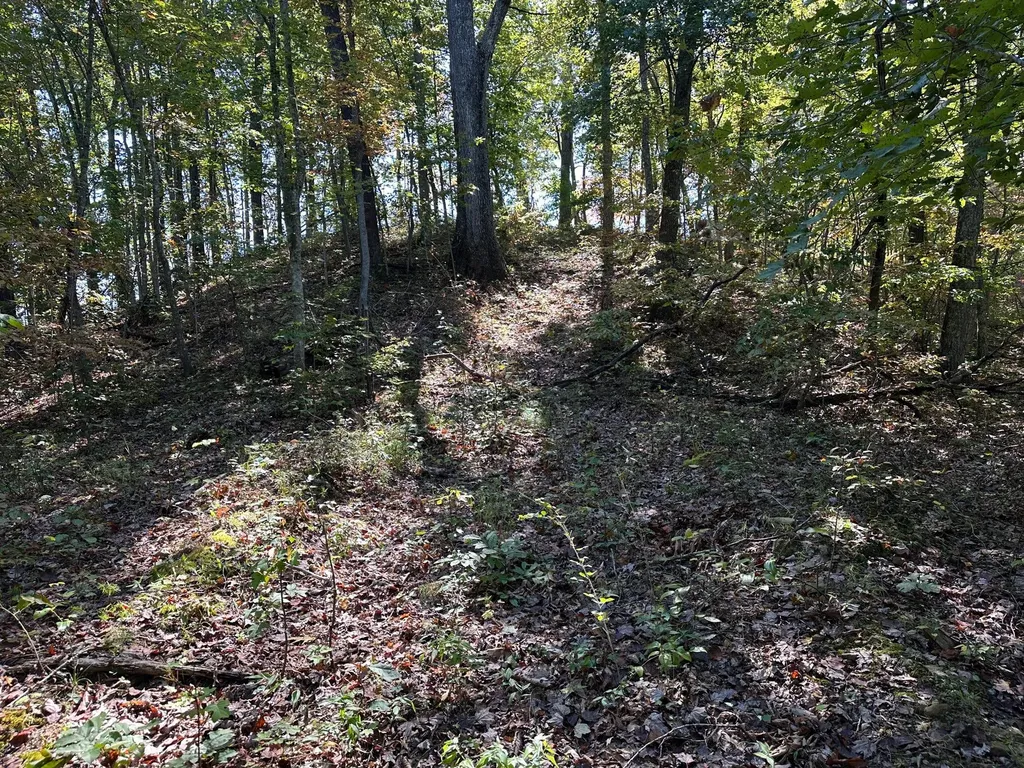 18A Hall Road Grayson KY 41143