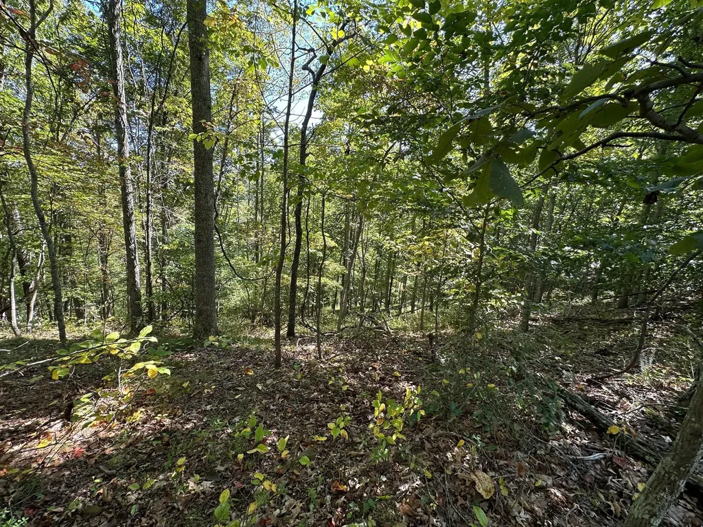 18A Hall Road Grayson KY 41143
