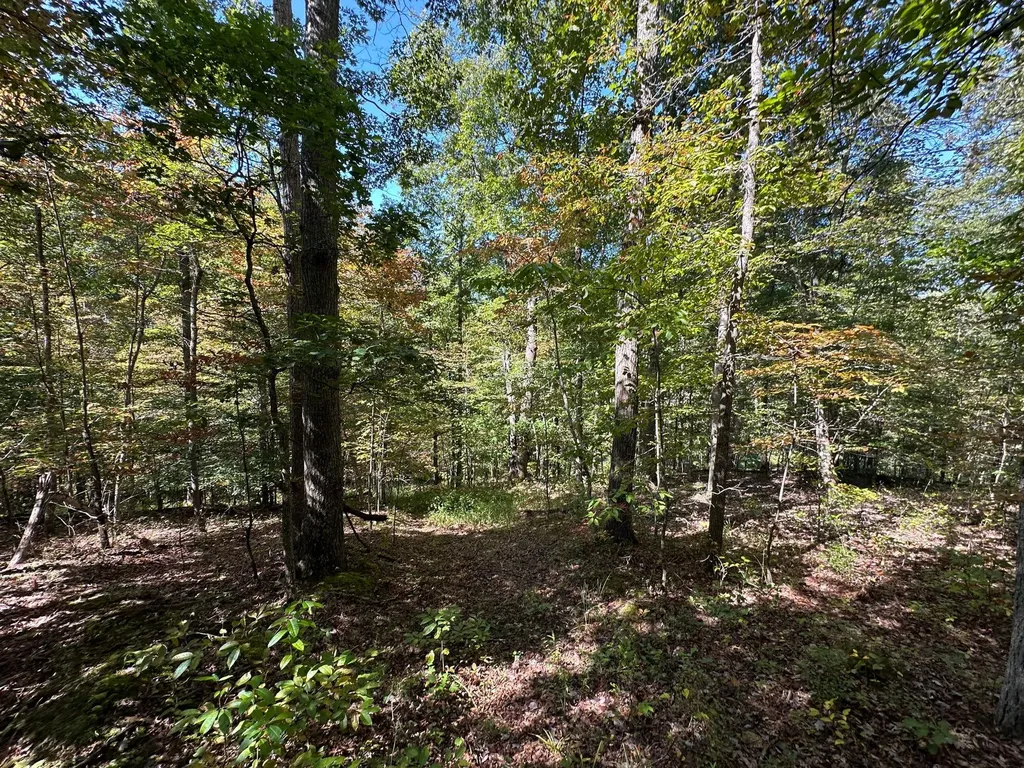 18A Hall Road Grayson KY 41143