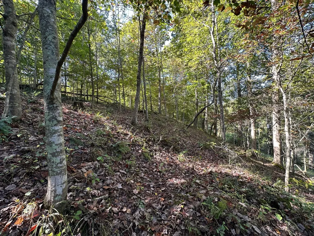 18A Hall Road Grayson KY 41143