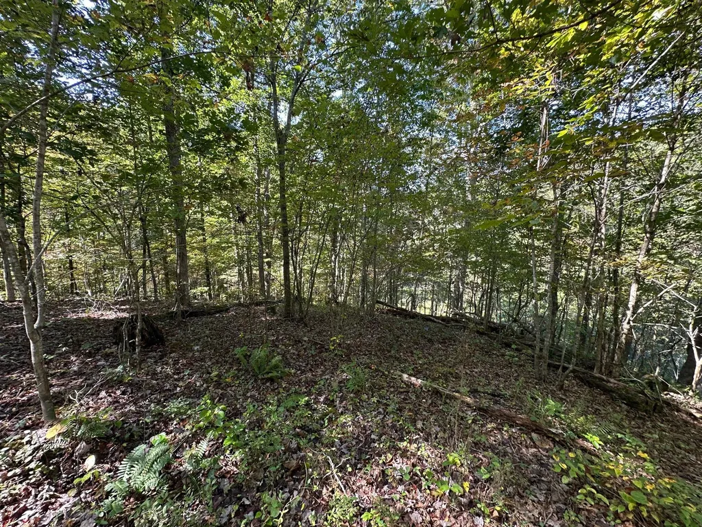 18A Hall Road Grayson KY 41143