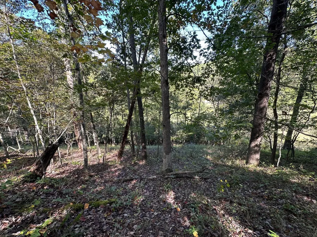 18A Hall Road Grayson KY 41143