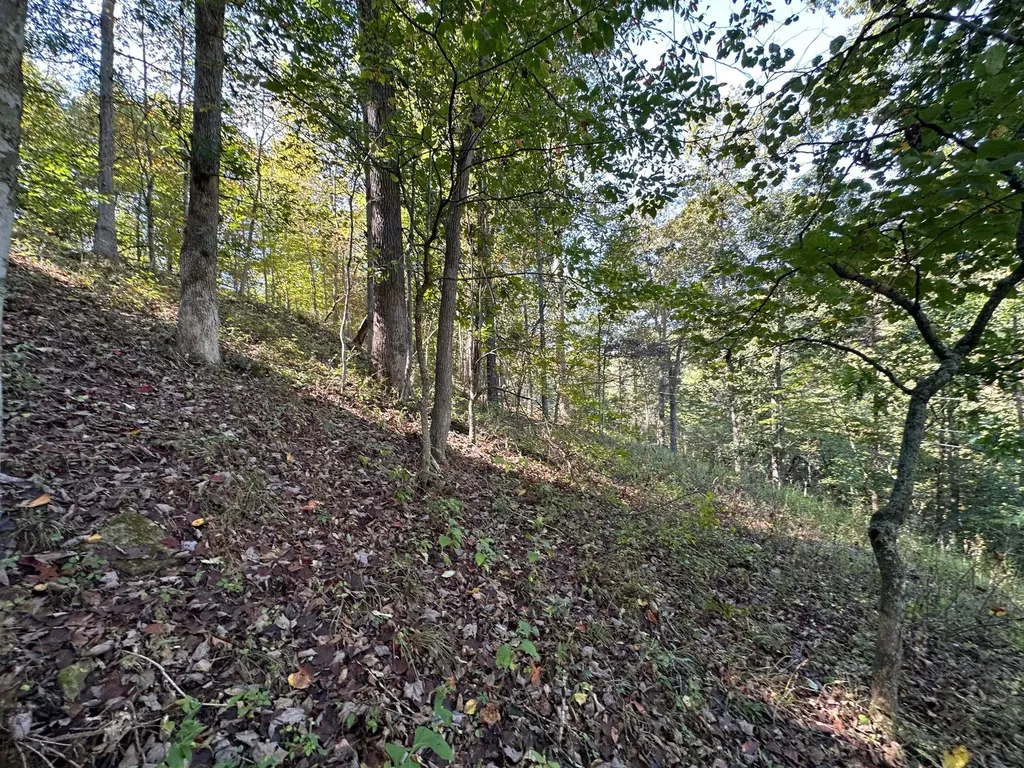 18A Hall Road Grayson KY 41143
