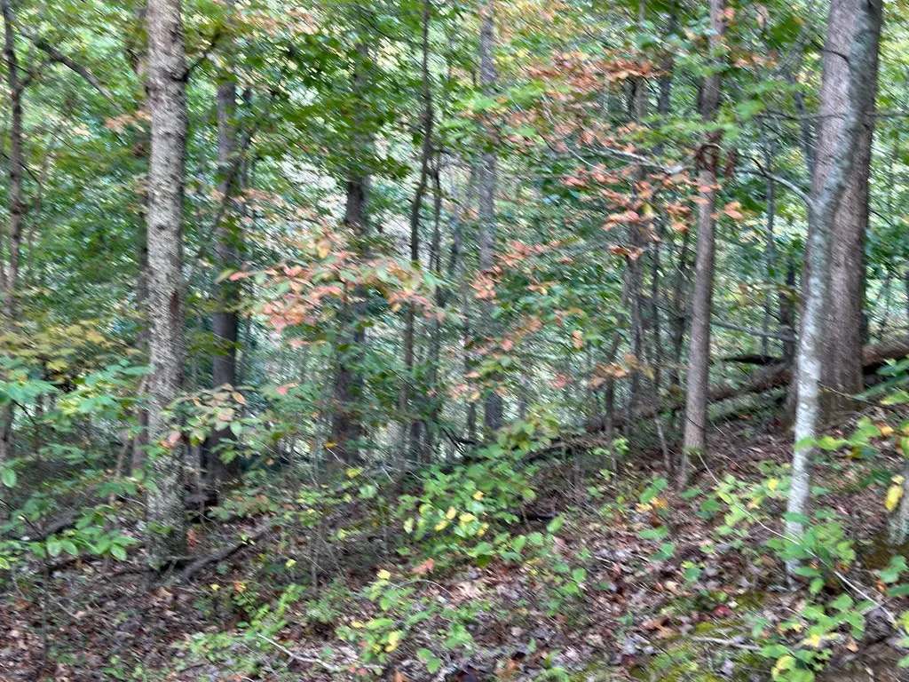 18A Hall Road Grayson KY 41143