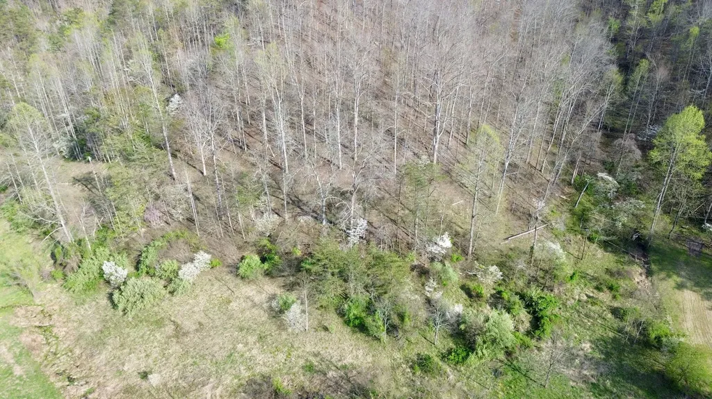 18A Hall Road Grayson KY 41143