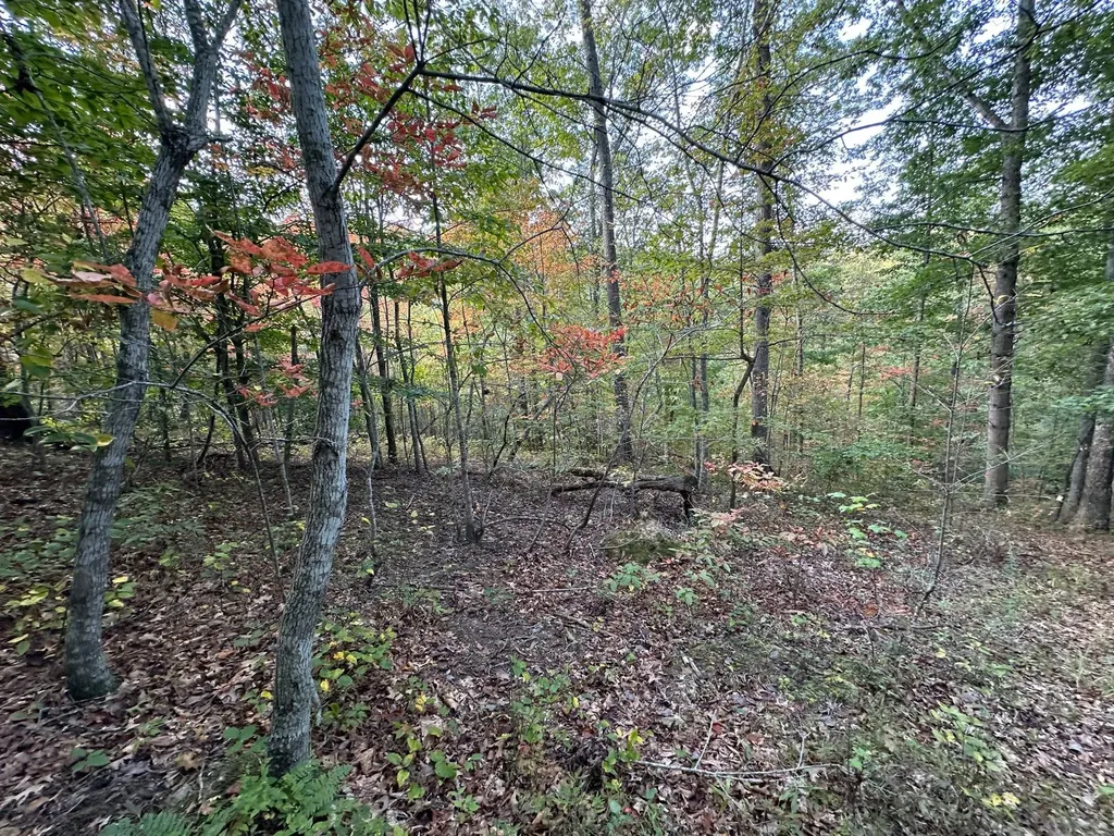 18A Hall Road Grayson KY 41143