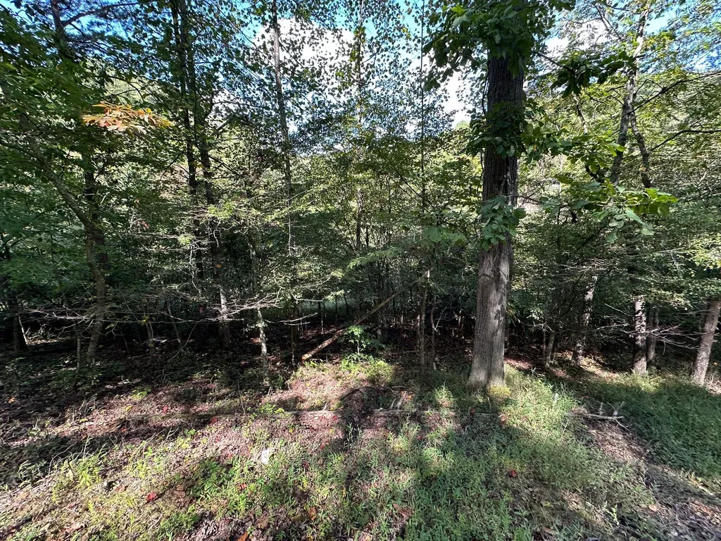 18A Hall Road Grayson KY 41143