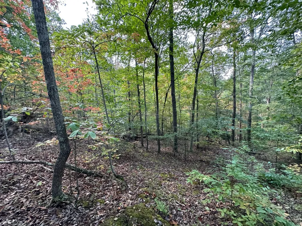 18A Hall Road Grayson KY 41143