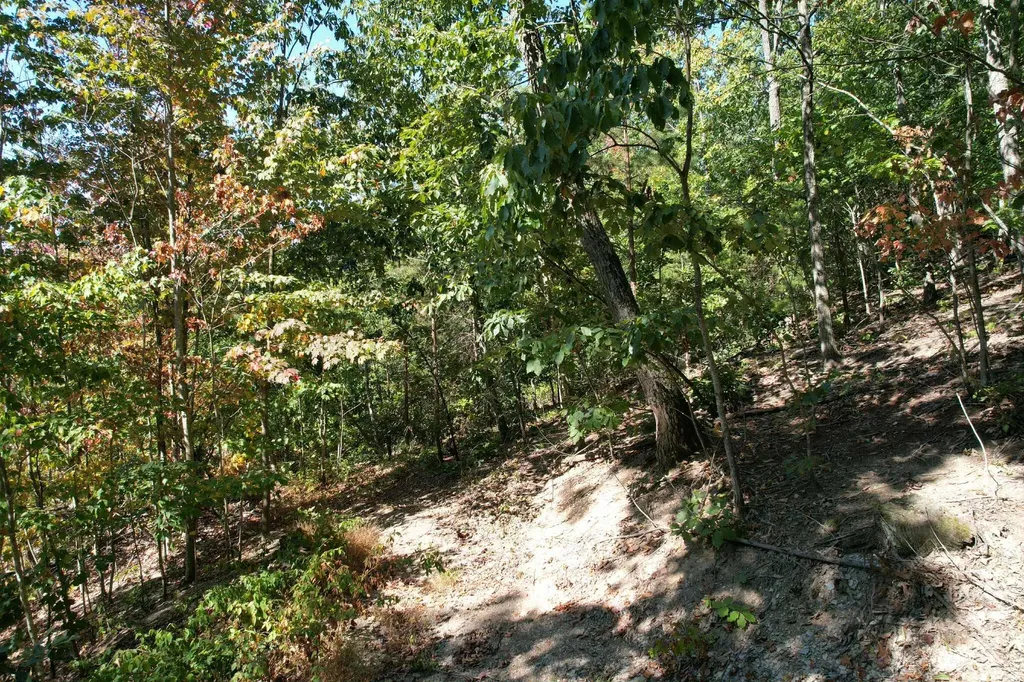 0 Evans Sisters Road Flemingsburg KY 41041