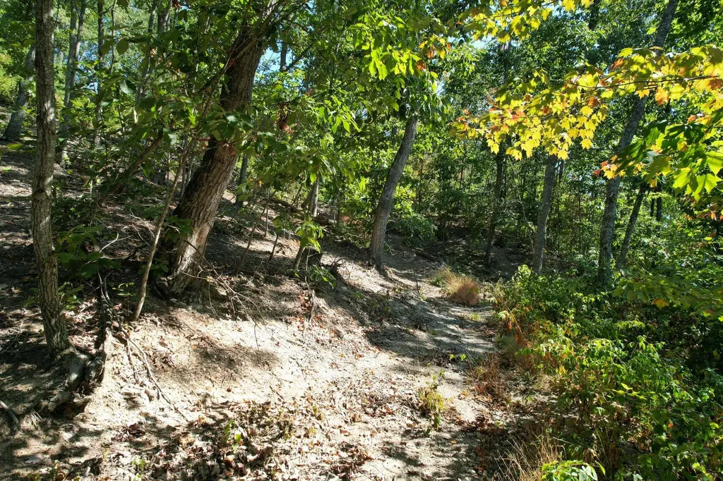 0 Evans Sisters Road Flemingsburg KY 41041