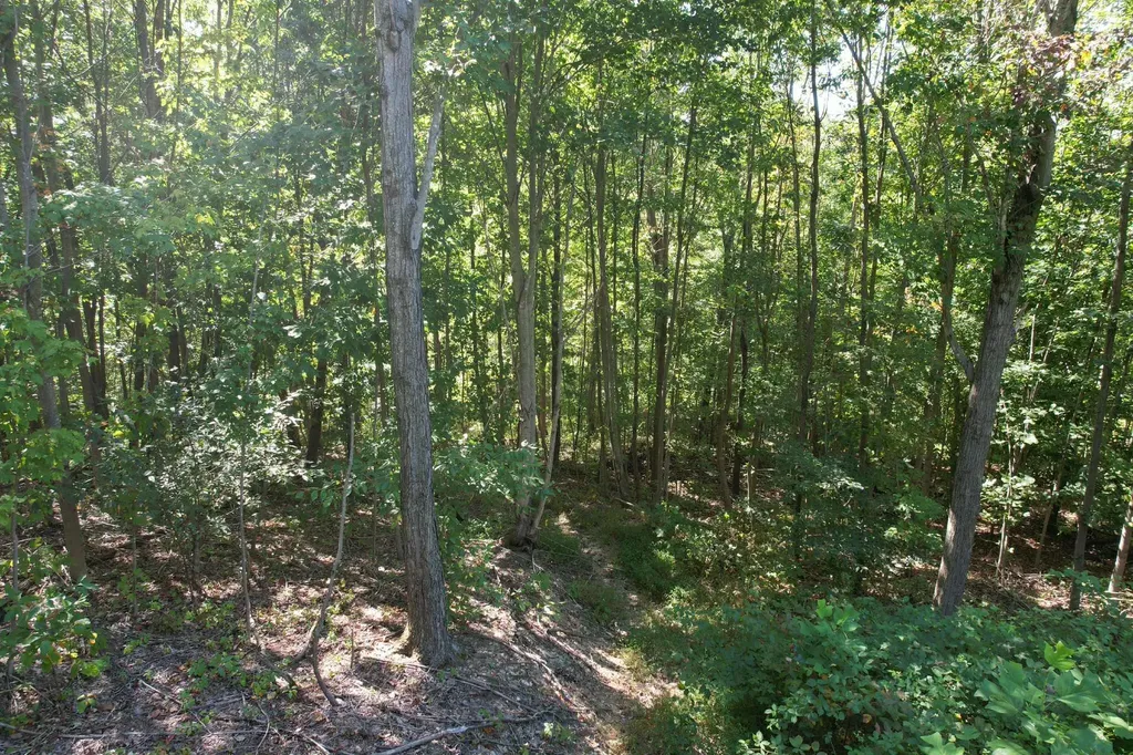 0 Evans Sisters Road Flemingsburg KY 41041