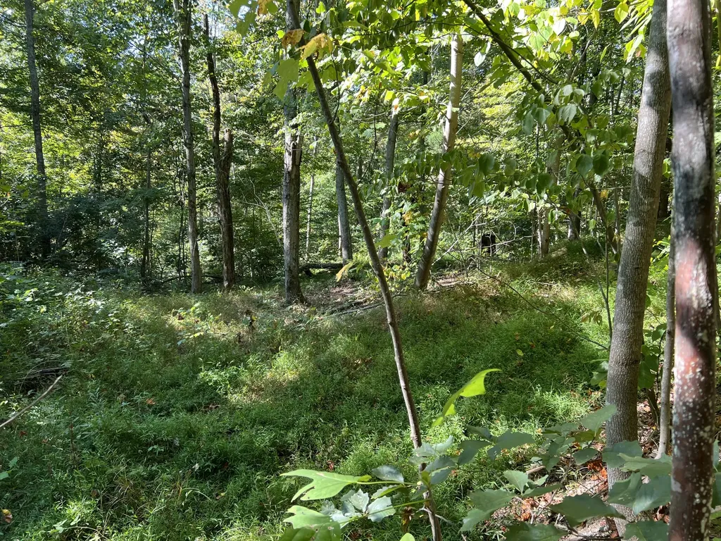 0 Evans Sisters Road Flemingsburg KY 41041