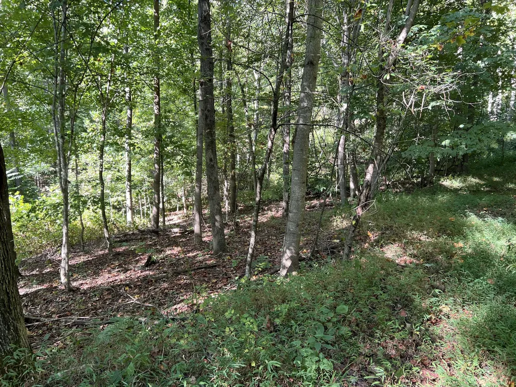0 Evans Sisters Road Flemingsburg KY 41041