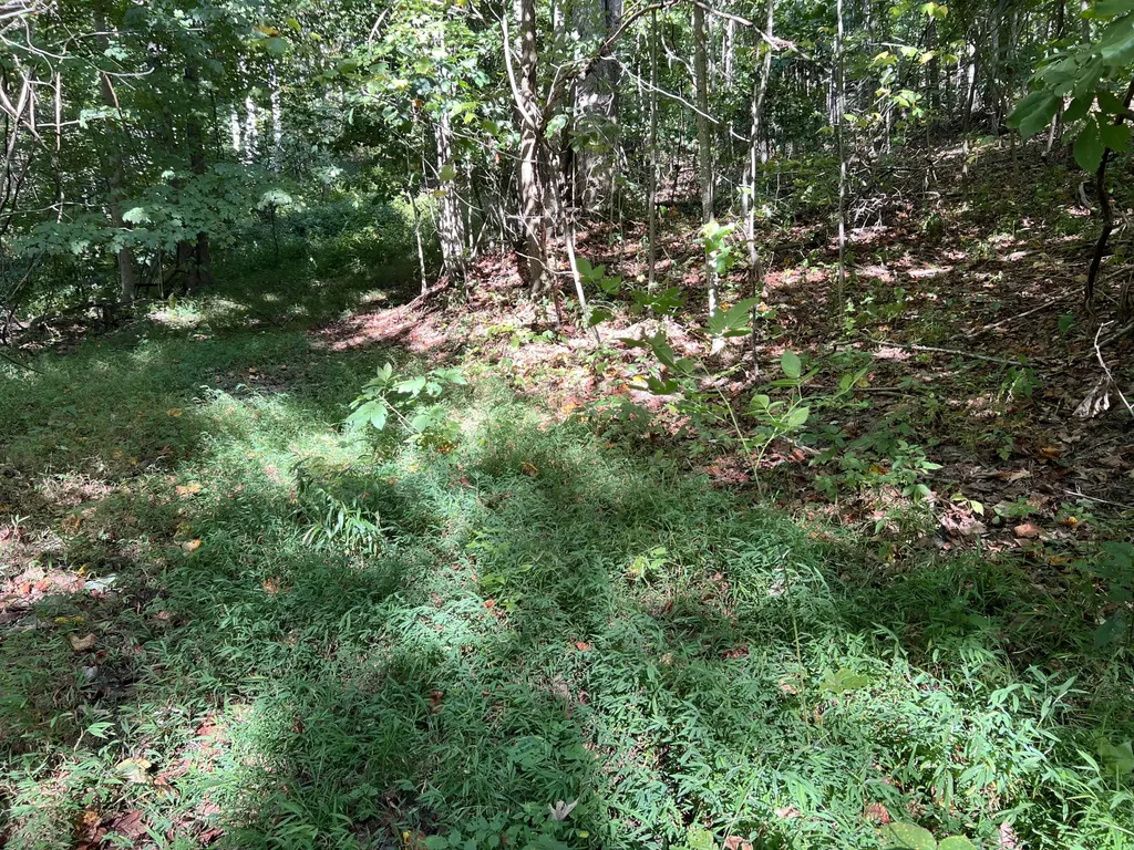 0 Evans Sisters Road Flemingsburg KY 41041