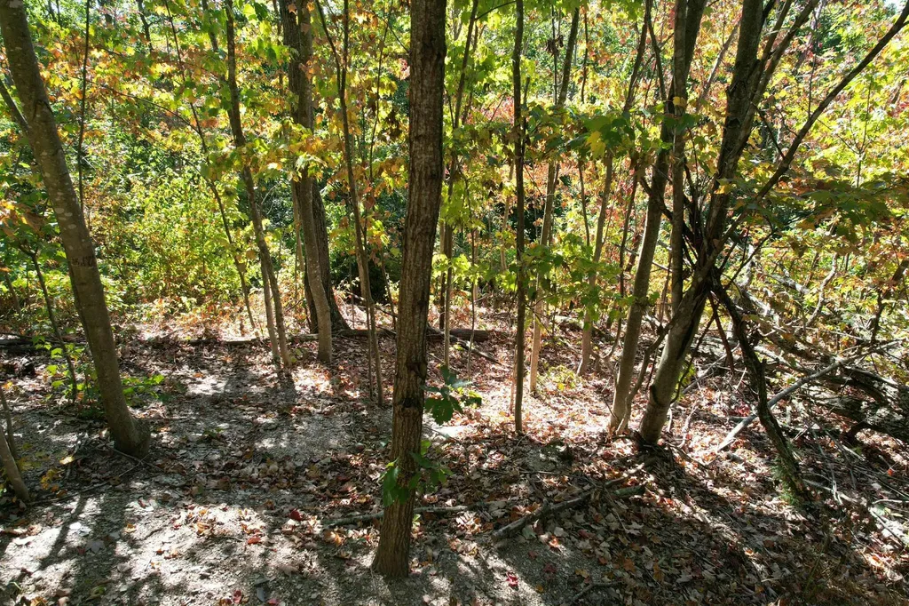 0 Evans Sisters Road Flemingsburg KY 41041