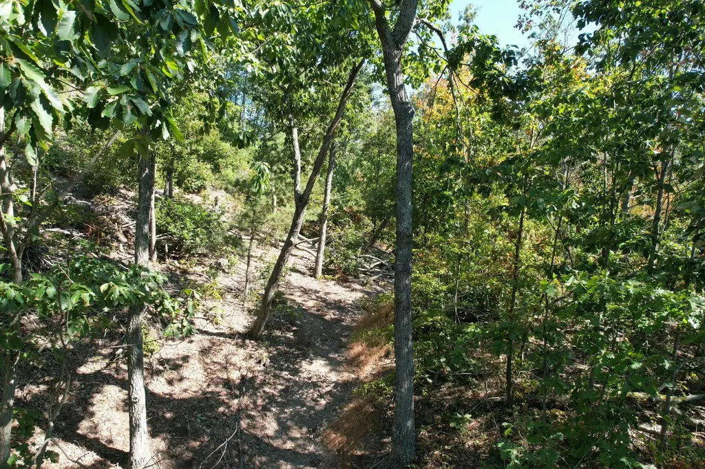 0 Evans Sisters Road Flemingsburg KY 41041
