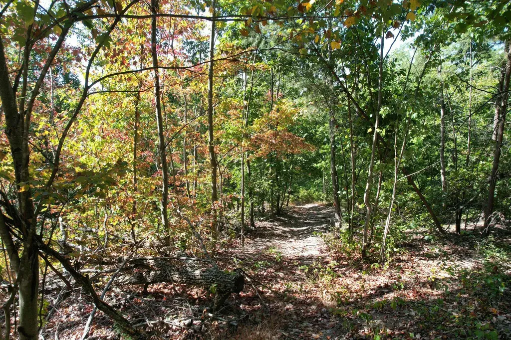 0 Evans Sisters Road Flemingsburg KY 41041