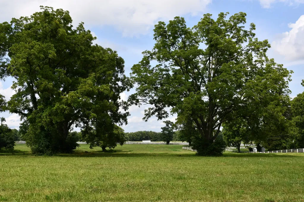 407 Country Lane Frankfort KY 40601
