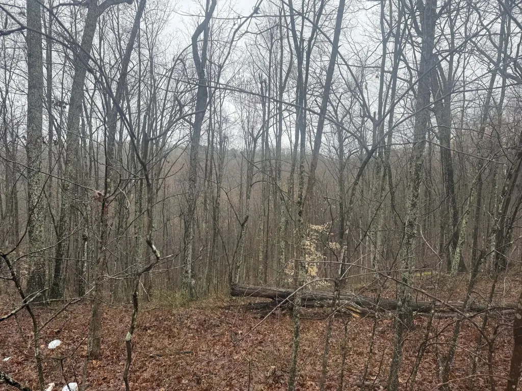 91 Acres Land Cains Creek Road Sandy Hook KY 41171