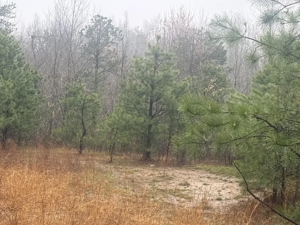 91 Acres Land Cains Creek Road Sandy Hook KY 41171