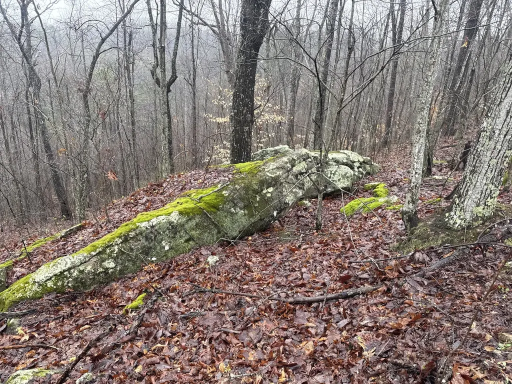 91 Acres Land Cains Creek Road Sandy Hook KY 41171