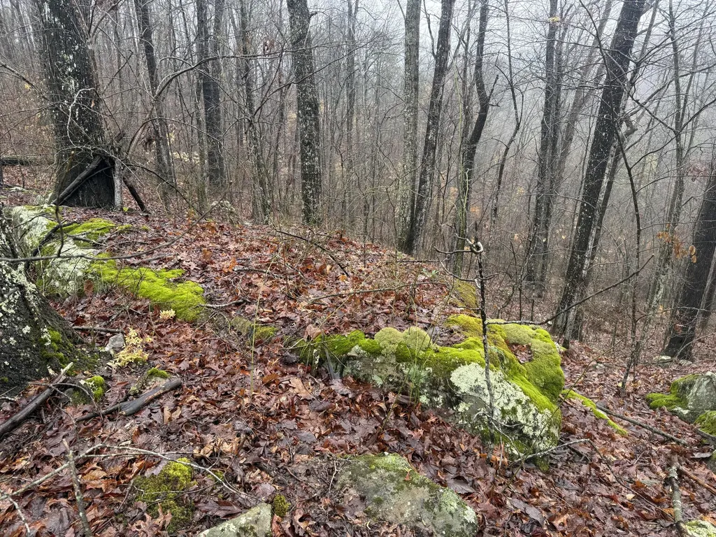 91 Acres Land Cains Creek Road Sandy Hook KY 41171