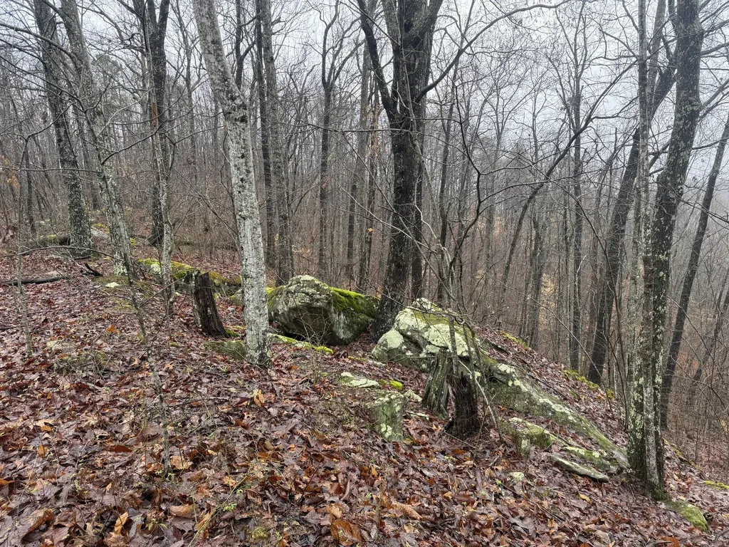 91 Acres Land Cains Creek Road Sandy Hook KY 41171