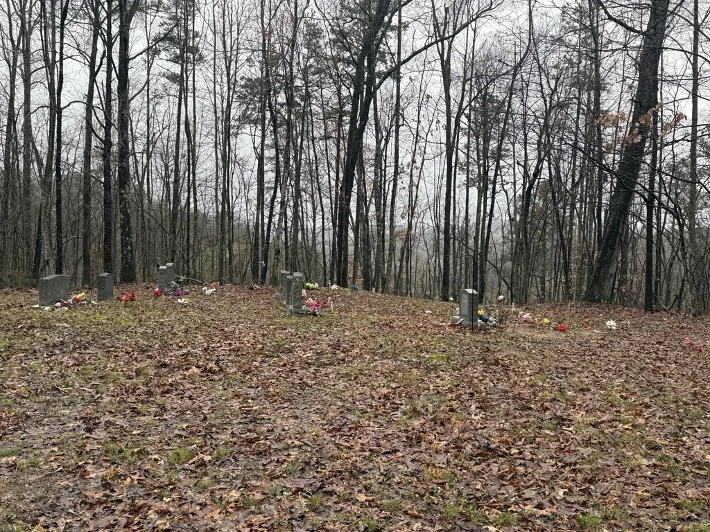 91 Acres Land Cains Creek Road Sandy Hook KY 41171