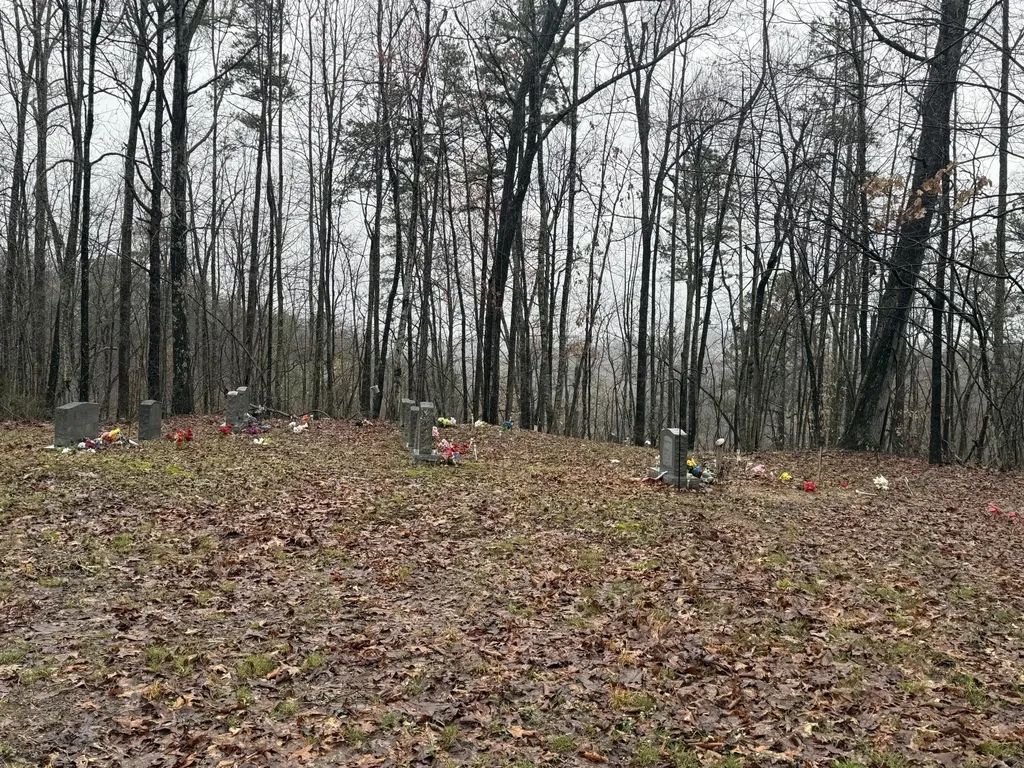 91 Acres Land Cains Creek Road Sandy Hook KY 41171