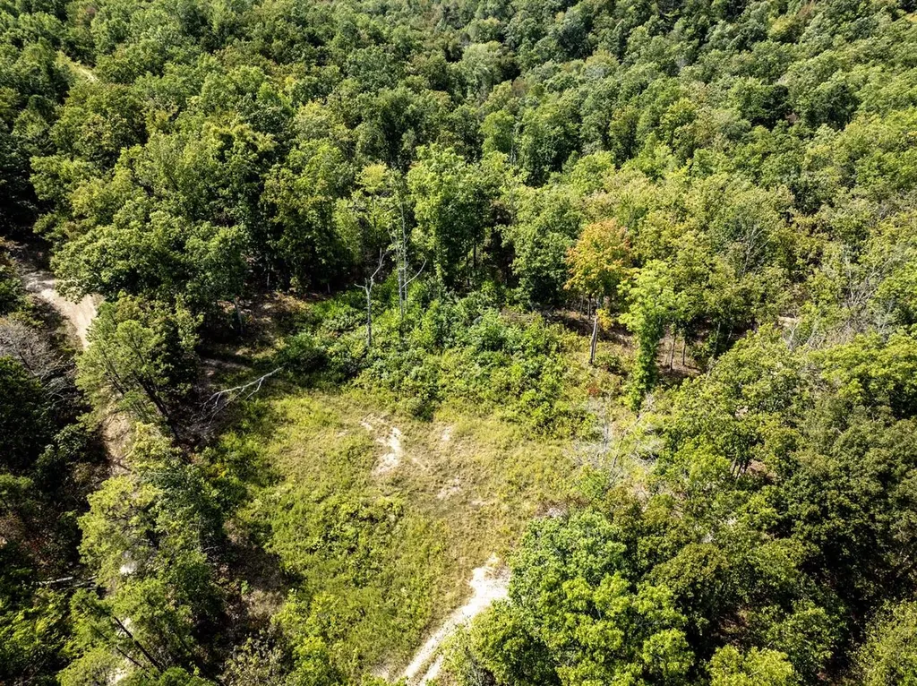 91 Acres Land Cains Creek Road Sandy Hook KY 41171