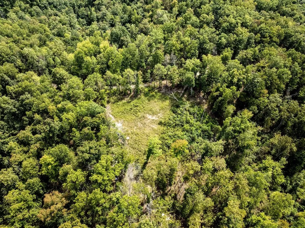 91 Acres Land Cains Creek Road Sandy Hook KY 41171