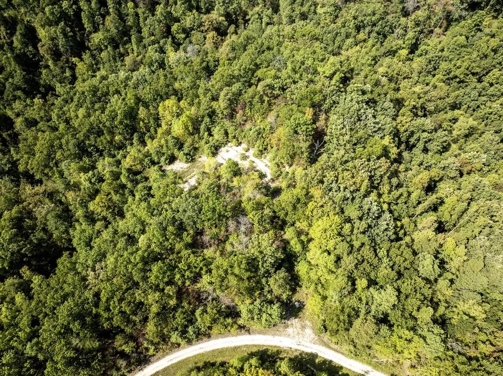 91 Acres Land Cains Creek Road Sandy Hook KY 41171