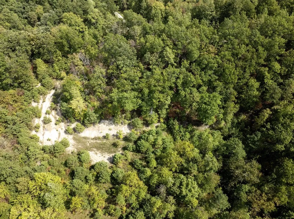 91 Acres Land Cains Creek Road Sandy Hook KY 41171