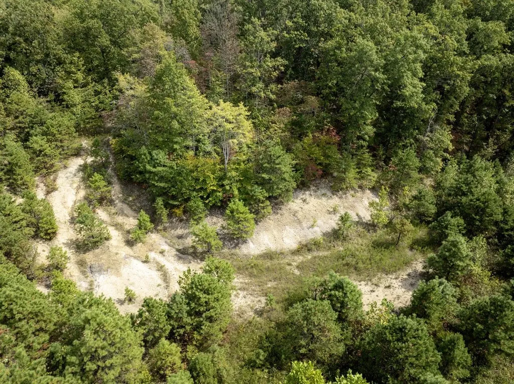 91 Acres Land Cains Creek Road Sandy Hook KY 41171