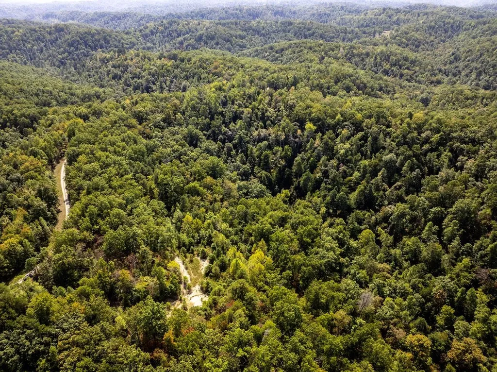 91 Acres Land Cains Creek Road Sandy Hook KY 41171