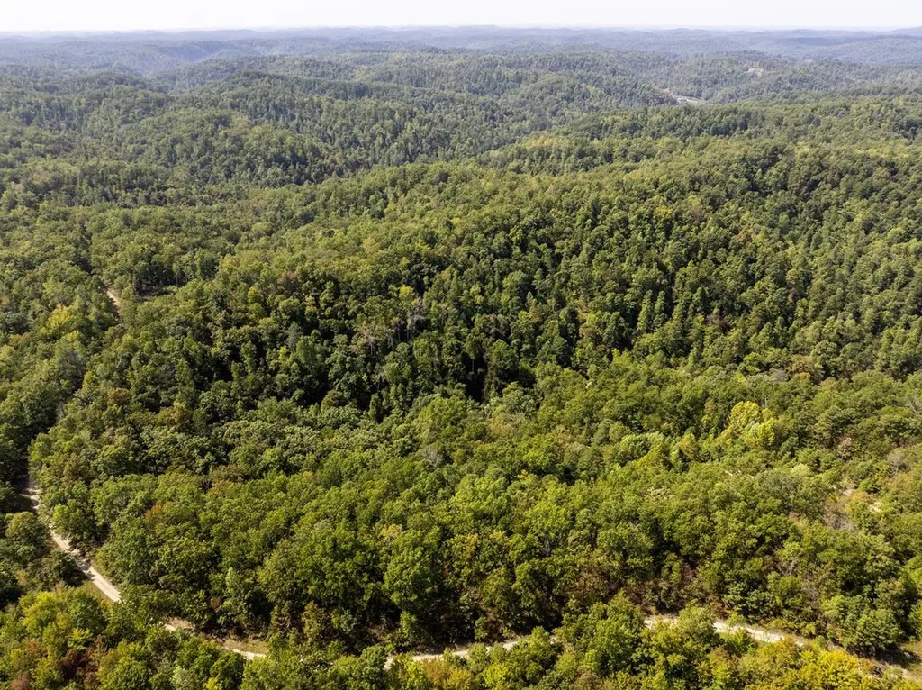 91 Acres Land Cains Creek Road Sandy Hook KY 41171