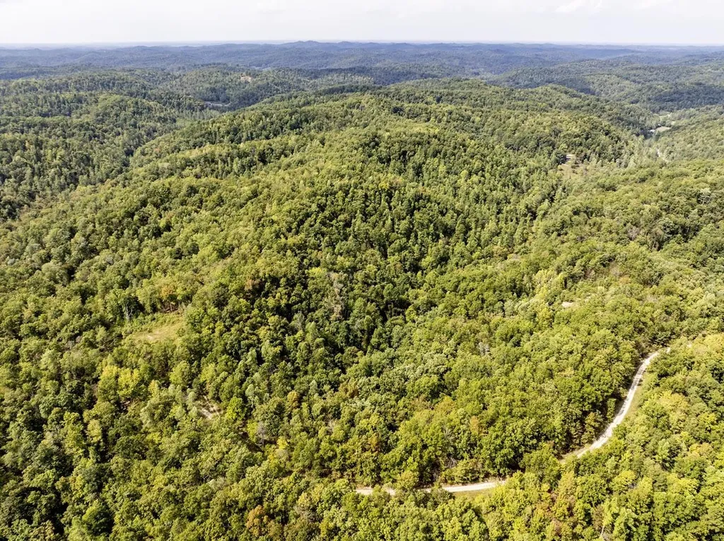 91 Acres Land Cains Creek Road Sandy Hook KY 41171