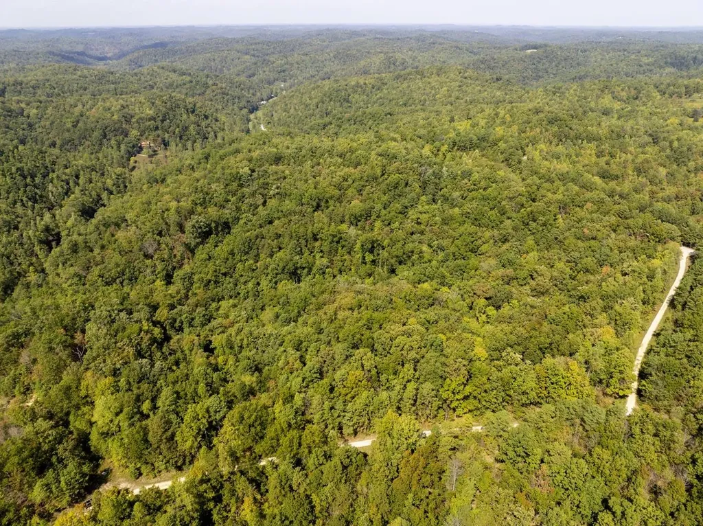 91 Acres Land Cains Creek Road Sandy Hook KY 41171