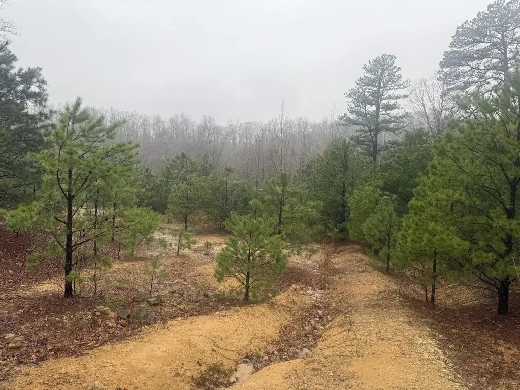 91 Acres Land Cains Creek Road Sandy Hook KY 41171