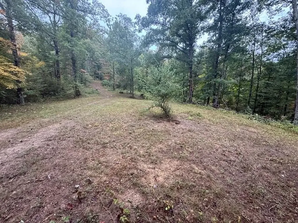 15709 Trace Road Rush KY 41168