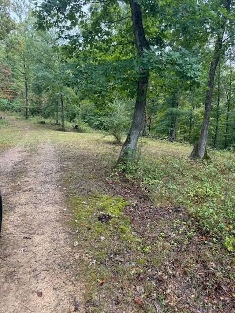 15709 Trace Road Rush KY 41168