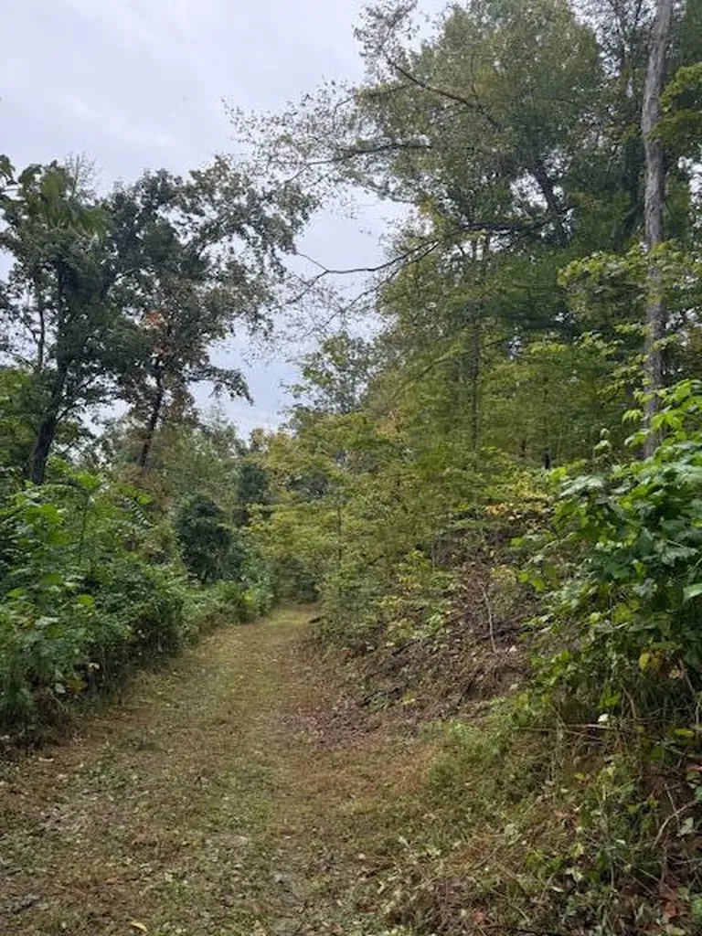 15709 Trace Road Rush KY 41168
