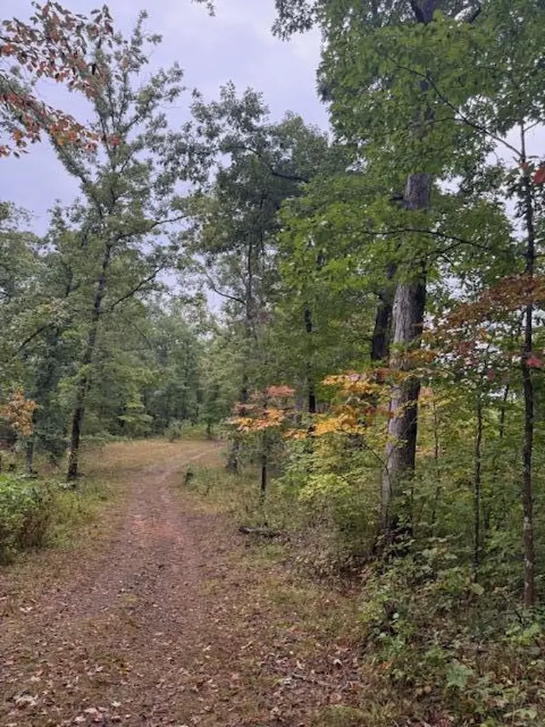 15709 Trace Road Rush KY 41168