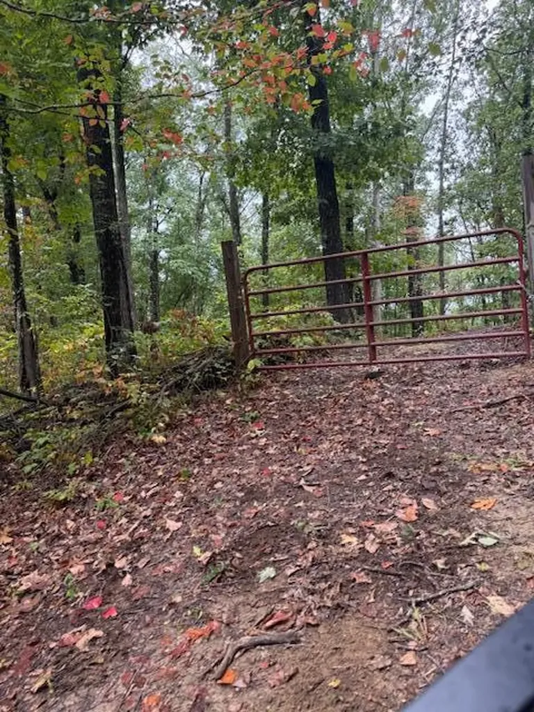 15709 Trace Road Rush KY 41168