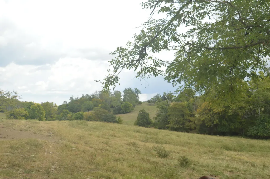 0000 Peggy Flats Road Berea KY 40403