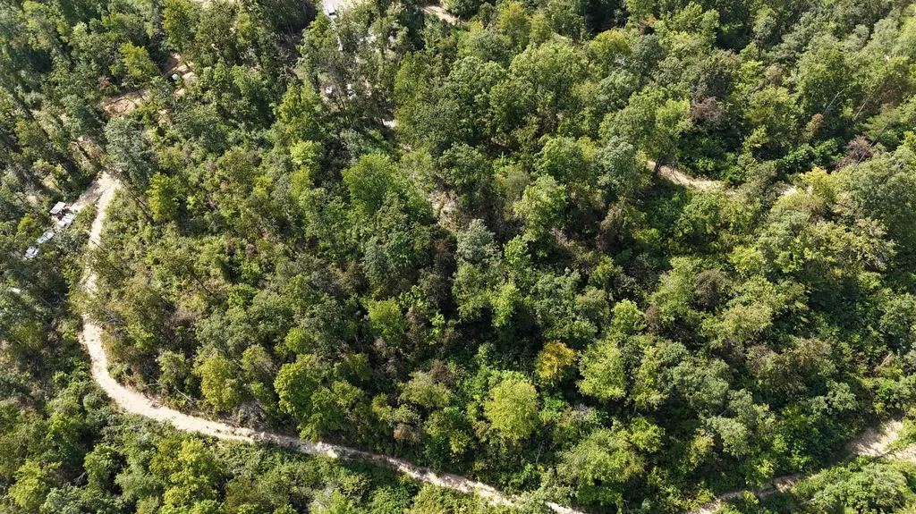 517 Timber Branch Road Mt Vernon KY 40456