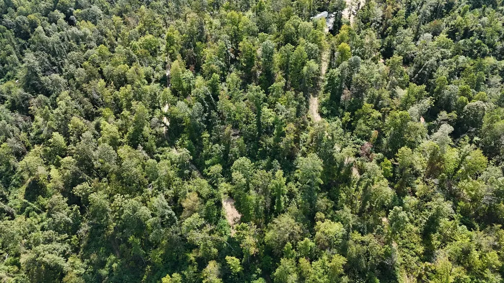 517 Timber Branch Road Mt Vernon KY 40456