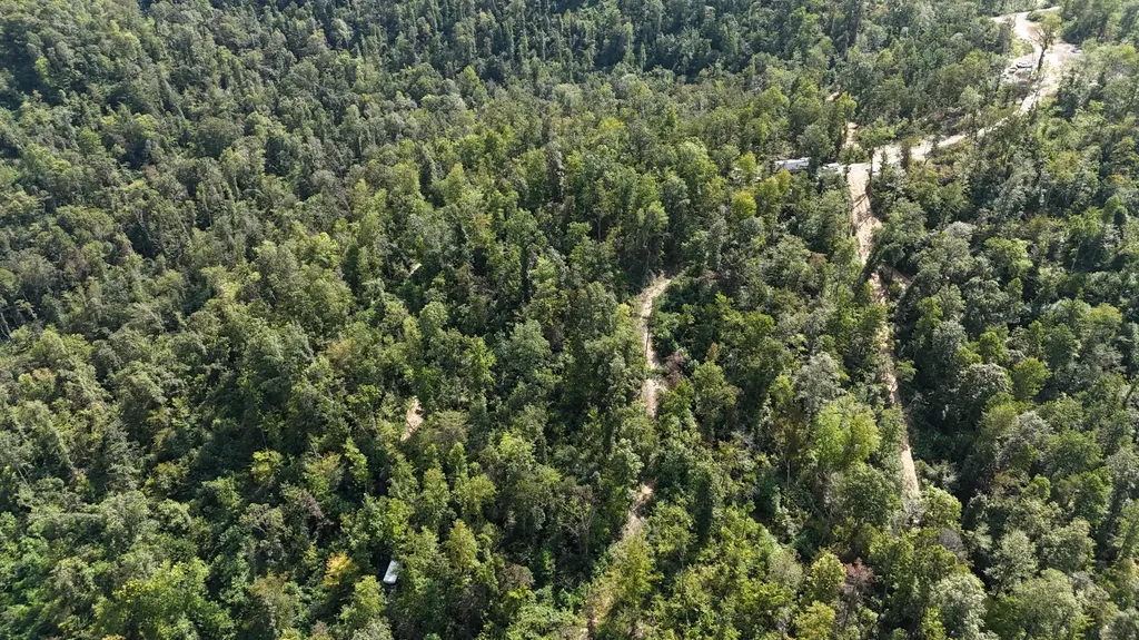 517 Timber Branch Road Mt Vernon KY 40456